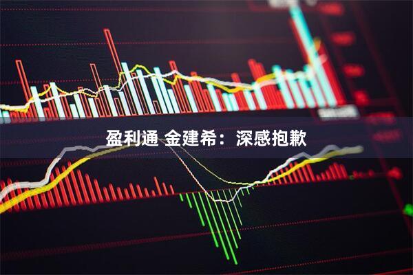 盈利通 金建希：深感抱歉