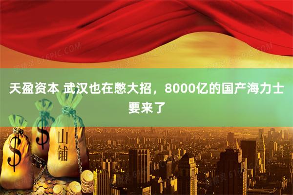 天盈资本 武汉也在憋大招，8000亿的国产海力士要来了